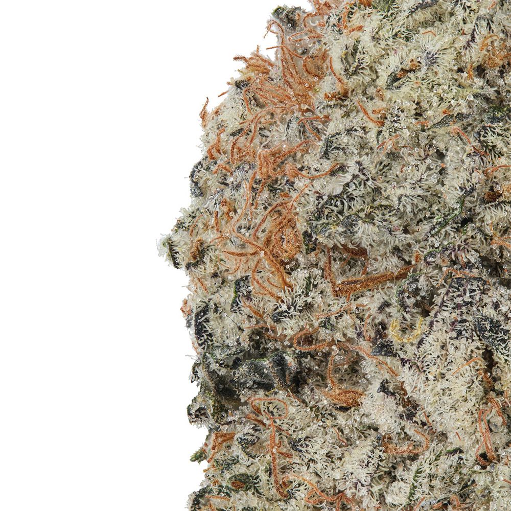 WNC CBD High THCA Indoor Hydro Flower | 3.5g