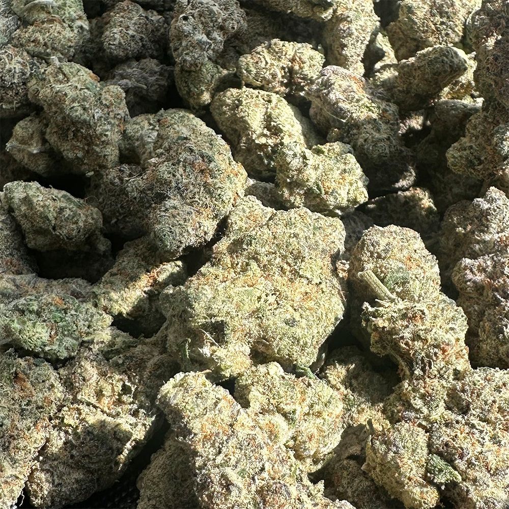 Canvast Premium Indoor THCA Flower 3.5g - Multiple Strains | Lab Tested Hemp Flower