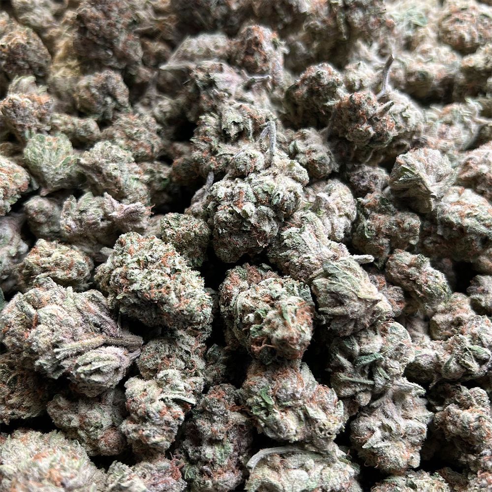 Canvast Premium Indoor THCA Flower 3.5g - Multiple Strains | Lab Tested Hemp Flower