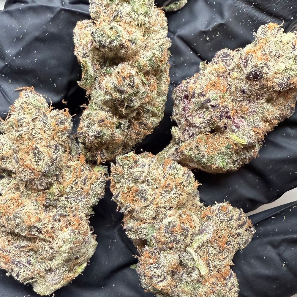 Canvast Premium Indoor THCA Flower 3.5g - Multiple Strains | Lab Tested Hemp Flower